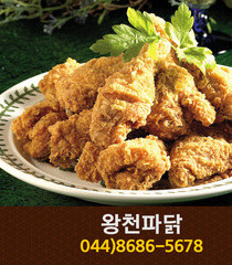 왕천파닭(도담동):044-8686-8800