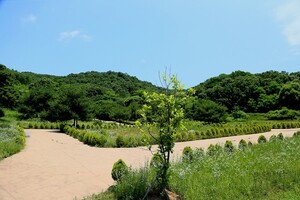 운주산성 트래킹
