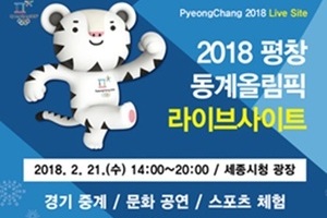 2018 평창 동계올림픽 라이브사이트 운영