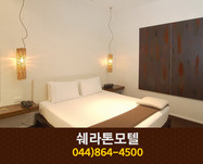 쉐라톤모텔(조치원읍 원리):044-864-4500