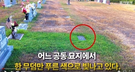 왜 아들 무덤만 푸른색인지 몰랐던 엄마. 이유를 깨닫고, 눈물바다가 되는데