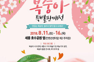 복숭아홍보판촉행사