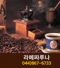 라메짜루나(도담동):044-867-6733