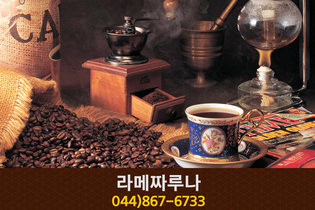 라메짜루나(도담동):044-867-6733