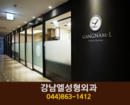 강남엘성형외과의원(나성동):044-863-1412