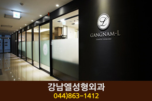 강남엘성형외과의원(나성동):044-863-1412