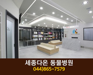 세종다온동물병원(소담동):044-865-7579