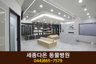 세종다온동물병원(소담동):044-865-7579