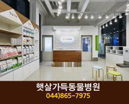 햇살가득동물병원(도담동):044-865-7975