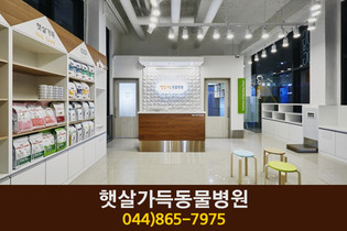 햇살가득동물병원(도담동):044-865-7975