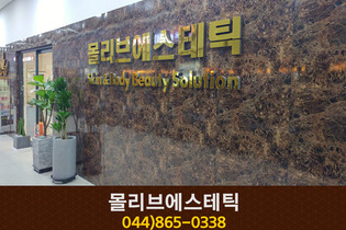 몰리브에스테틱 : 044-865-0338