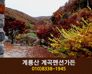 계룡산계곡펜션가든(학봉리):010-8338-1945