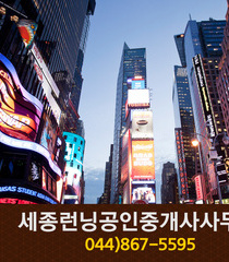 세종런닝공인중개사사무소(도담동):044-867-5595