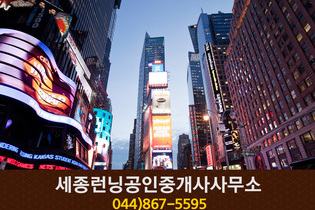 세종런닝공인중개사사무소(도담동):044-867-5595