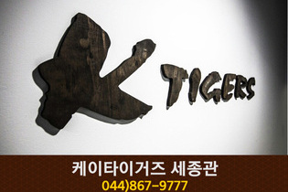 케이타이거즈 세종관 : 044-867-9777
