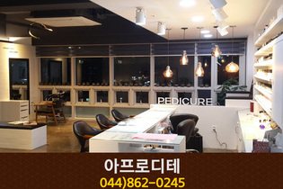 아프로디테 : 044-862-0245