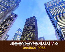 세종중앙공인중개사사무소(나성동):044-864-9988