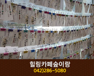 힐링카페숲이랑(대사동):042-286-5080