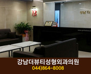 강남더뷰티성형외과의원(나성동):044-864-8008
