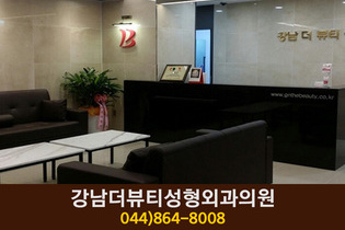 강남더뷰티성형외과의원(나성동):044-864-8008