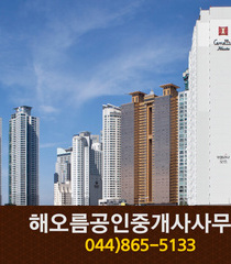 해오름 공인중개사사무소(고운동):044-865-5133