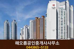 해오름 공인중개사사무소(고운동):044-865-5133