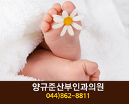양규준산부인과의원(조치원읍 원리):044-8628811