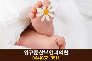 양규준산부인과의원(조치원읍 원리):044-8628811