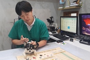 2018년 상반기 광견병 예방접종 실시 안내 