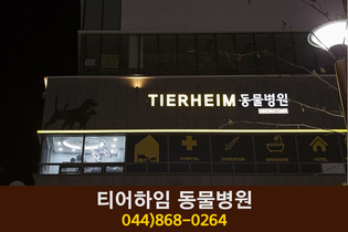 뮤동물병원(한솔동):044-868-2542