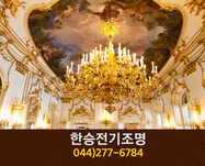 한승전기조명(부강면):044-277-6784