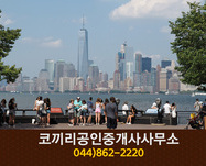 코끼리공인중개사사무소(고운동):044-862-2220
