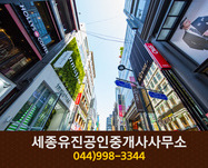 세종유진공인중개사사무소(고운동):044-998-3344