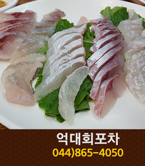 억대회포차(도담동):044-865-4050 