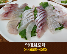 억대회포차(도담동):044-865-4050 