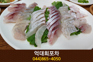 억대회포차(도담동):044-865-4050 