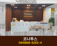 코나투스 : 044-868-6263~4