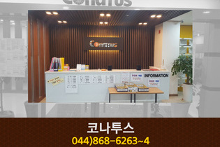 코나투스 : 044-868-6263~4