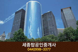 세종탑공인중개사사무소(나성동):044-998-3377