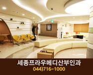 세종프라우메디산부인과(나성동):044-716-1000