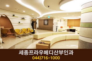 세종프라우메디산부인과(나성동):044-716-1000