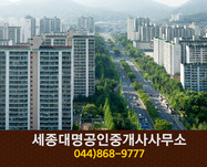 세종대명공인중개사사무소(도담동):044-868-9777