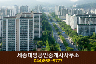 세종대명공인중개사사무소(도담동):044-868-9777