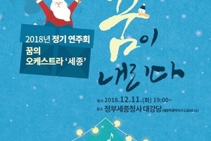 2018년 정기연주회 꿈의 오케스트라 '세종'