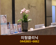 미탐의원(종촌동):044-865-6662