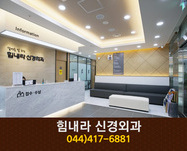 힘내라신경외과의원(새롬동):044-417-6881