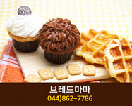 브레드마마(도담동):044-862-7786