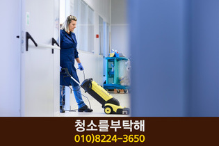 청소를부탁해(고운동):010-8224-3650