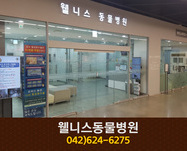 웰니스클리닉동물병원(용전동):042-624-6275
