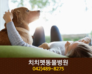 치치펫동물병원(갈마동):042-489-8275